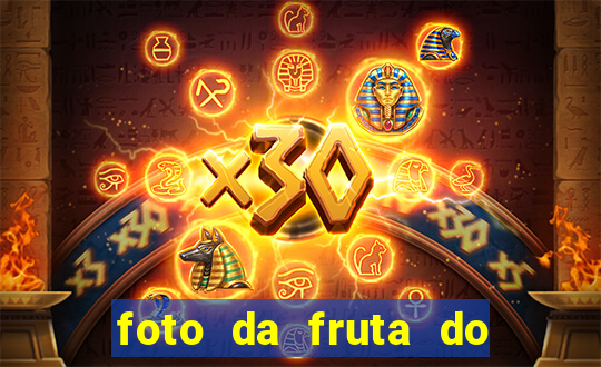 foto da fruta do blox fruits